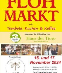 Flohmarkt im November 2024 in Wiesing